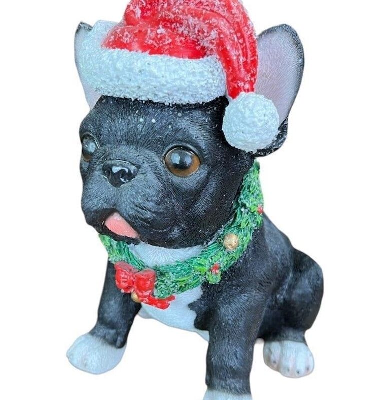 Franse Bulldog met licht – kerst
